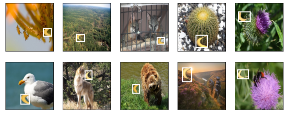 ../_images/output_object-detection-dataset_641ef0_33_0.png